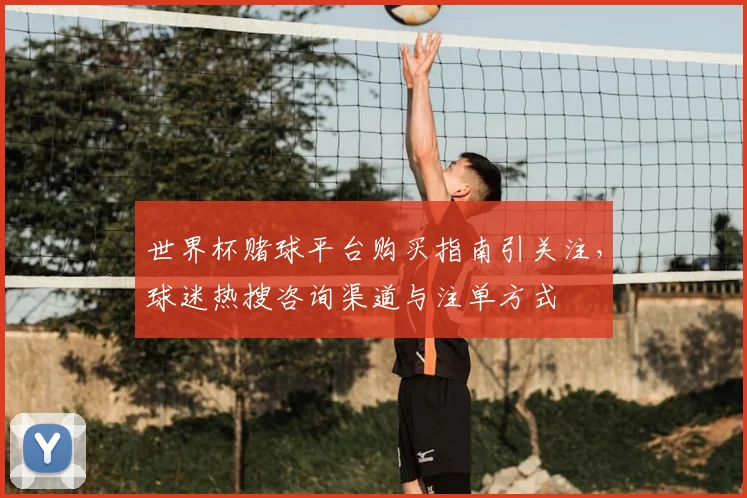 世界杯赌球平台购买指南引关注，球迷热搜咨询渠道与注单方式