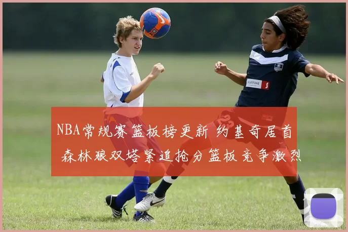 NBA常规赛篮板榜更新 约基奇居首 森林狼双塔紧追抢分篮板竞争激烈
