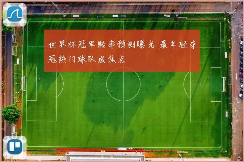 世界杯冠军赔率预测曝光 最年轻夺冠热门球队成焦点