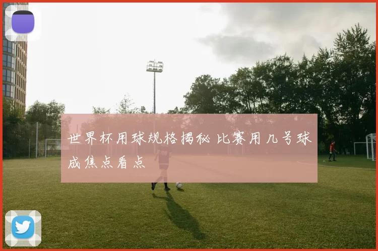 世界杯用球规格揭秘 比赛用几号球成焦点看点