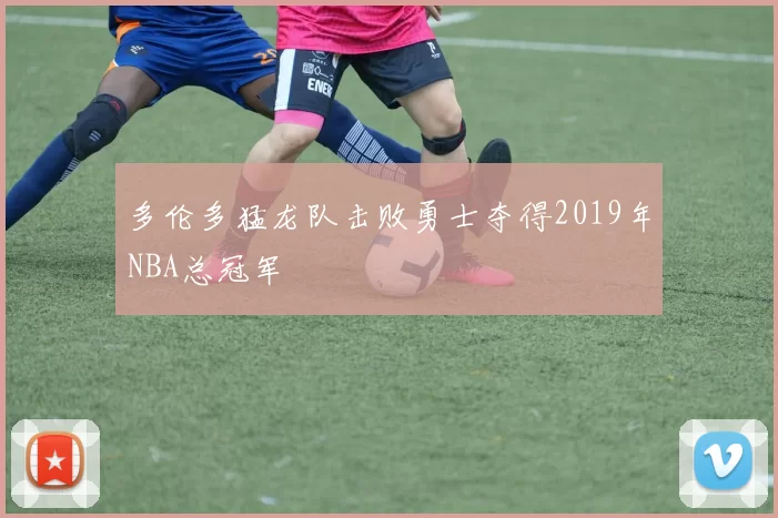 多伦多猛龙队击败勇士夺得2019年NBA总冠军