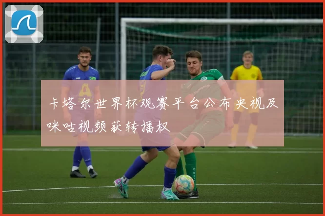 卡塔尔世界杯观赛平台公布央视及咪咕视频获转播权