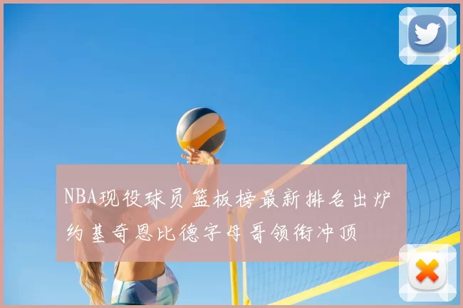 NBA现役球员篮板榜最新排名出炉 约基奇恩比德字母哥领衔冲顶